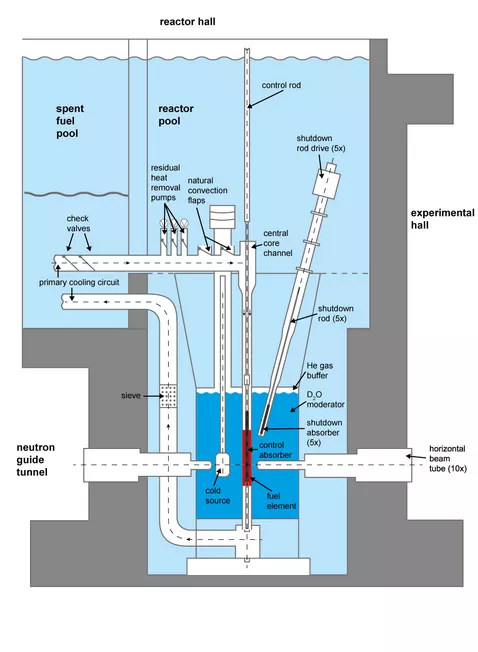 Section of the reactor and spent fuel pool (Copyright: FRM II/TUM)