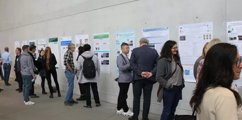 Scientists in conversation: The participants presented their research at the poster session. © Reiner Müller, FRM II / TUM