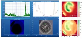 Raman-Mapping einer Vitamin D2 – Caseinmizellen-Emulsion. Rechts: Resultat bei zwei verschiedenen Wellenzahlen, die verschiedenen Bestandteilen entsprechen. © IFNANO