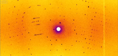 This is the result of the measurement on the BioDiff instrument: A diffraction pattern of the heat shock protein. The researchers determined the three-dimensional structure of the heat shock protein and the water clusters from 378 such images. © Dr. Andreas Ostermann, FRM II / TUM