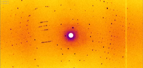 So sieht das Ergebnis der Messung am Instrument BioDiff aus: Ein Diffraktionsmuster des Hitzeschockproteins. Aus 378 solcher Aufnahmen haben die Forschenden die dreidimensionale Struktur des Hitzeschockproteins und der Wassercluster bestimmt. © Dr. Andreas Ostermann, FRM II / TUM