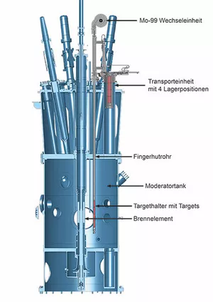 Schemazeichnung der zukünftigen Molybdän-99 Bestrahlungsanlage innerhalb des Reaktorbeckens. Im Fingerhutrohr befindet sich die Kühlkanaleinheit bestehend aus 2 Kühlwasserzuführungen und 2 Bestrahlungskanälen (Kühlwasserrückführungen), (Schema: P. Jüttner, FRM II).