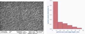 Mikrostruktur Ni-Basis Superlegierung (oben) und Bestimmung der Größenverteilung der Ausscheidungen aus den SANS Messungen (unten). © FRM II/ TUM