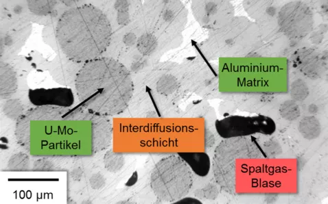 Electron microscopy of a disperse U-Mo/Al fuel from the irradiation test RERTR-4. An interdiffusion later has been formed between the U-Mo particles and the aluminum matrix and fission gases have accumulated in bubbles.<br />
Source: G.L. Hofman, M.R. Finlay, and Y.S. Kim, “POST-IRRADIATION ANALYSIS OF LOW ENRICHED U-Mo/Al DISPERSIONS FUEL MINIPLATE TESTS, RERTR 4 & 5,” in 26th International Meeting on Reduced Enrichment for Research and Test Reactors (RERTR),2014, Vienna (Austria) <br />
